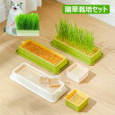 水耕栽培猫草 ボックス 猫草栽培キット 正方形 長方形 2個セット 猫草プランター 猫草栽培セット ネコ草 ねこ草 毛玉ケア 水植物 スプラウター 発芽コンテナ...