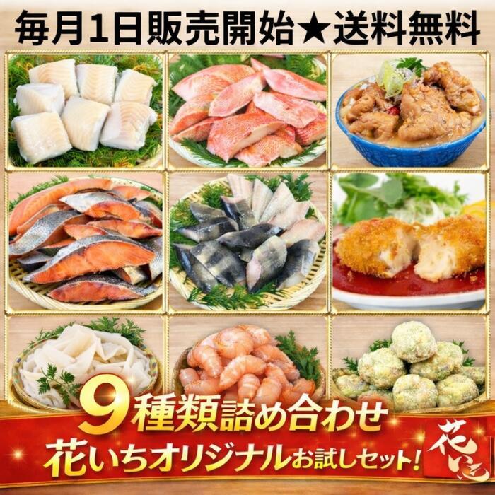 お試し福袋 9種類 海鮮 揚げ物 お惣菜 切り身 骨取り 冷凍 福袋 オリジナル 市場直送 花いち 小分け セット 魚 肉 煮込み