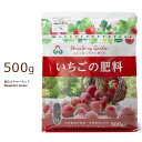 【単品 / 3個セット】イチゴの有機肥料 ペレットタイプ 500グラム 元肥 追肥 チャック付き 朝日アグリア