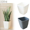 植木鉢 プラスチック製 アトリエシリーズ 220型 スクエア 全2色 22cm (1辺)　高さ25.2cmプラ鉢 鉢 園芸 ガーデニング 寄せ植え コンテ..