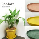 SDGs認定エコポット用受け皿 丸型 7号 直径:210mm × 高さ:34mm 天然素材プラスチック 園芸用 ナチュラル 受け皿