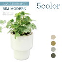 アクアテラポット 観葉植物付き リムモダン 10.5サイズ全4色 観葉植物 全10種 陶器 鉢 底面給水 シュガーバイン ペペロミア ヘデラ ワイヤープランツ ...