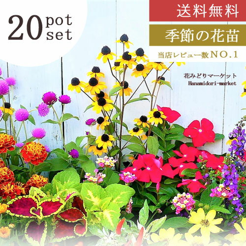 【送料無料】 季節の花苗 20ポットセット 花色ミックス ガーデニング 花壇 寄せ植え ハンギング 春 夏 秋 冬 プレゼント