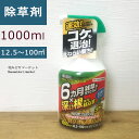 除草剤 スプレー 草退治 メガロングシャワー 1000ミリリットル住友化学園芸 【非耕作地用】長期間 除草 そのまま 駐車場 通路 墓 ハイブリット 即効性 手軽 簡単