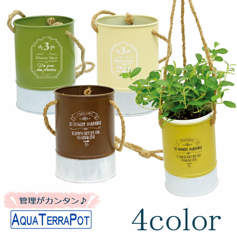 アクアテラポット ツートンブリキ ハンギング 10.5全4色 植物全10種シュガーバイン アイビー ヘデラ ペペロミア ワイヤープランツ プミラインテリアグリーン 観葉植物 ローメンテナンス 簡単 おしゃれ 手軽 底面給水