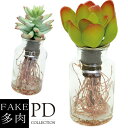 フェイク多肉植物(造花) PDインテリアFA-1002 ギフト 観葉植物 多肉植物 グラス小物シンプル スタイリッシュ ナチュラル インテリア雑貨 造花