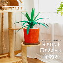 【ポイント10倍】 爪とぎポール キャロット 猫 爪とぎ 極太 ポール 麻縄巻き 高さ約50.5cm 据え置き 木製 キャットスクラッチャー ペット用品 猫用品...