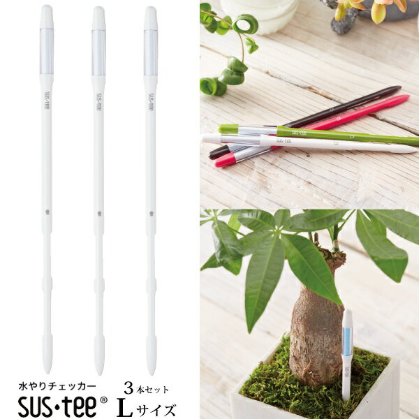 セットでお得『 Lサイズ 3本セット ホワイト サスティー 植物用水分計 』【送料無料】ネコポス発送 (資..