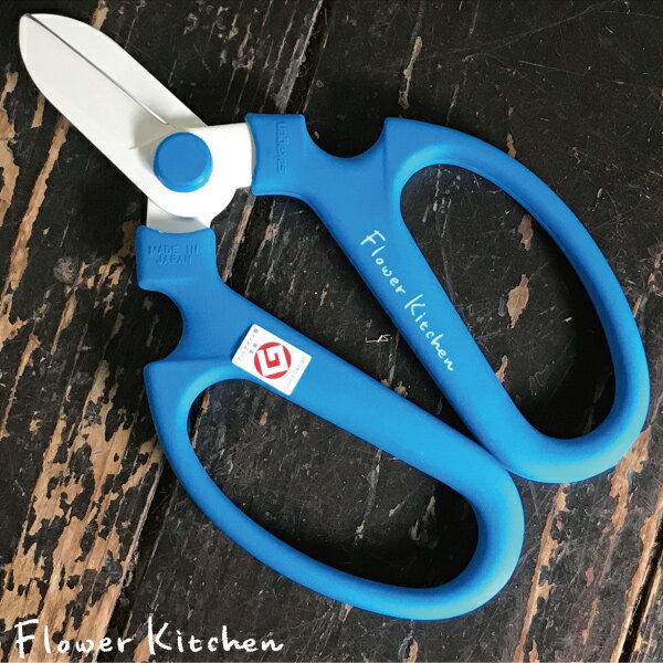 ֤Ϥ ֥롼 ̵ 椦ѥåȯ ں主 ϥɥꥨ F170170mm F-170 FlowerKitchenαݡ֥ϥ ...