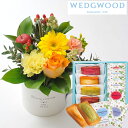 花とスイーツのセットガーベラカップアレンジとフィナンシェ&「ウェッジウッド」ティーバッグセット WEDGWOOD(ウェッジウッド)送料無料【北海道・沖縄・離島お...