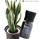 (観葉)【植物と肥料のセット】『 サンセベリア 7号鉢 + evo 植物が元気になる肥料 75g 』 サンスベリア evo 観葉植物 有機混合肥料 肥料 栄養剤 プレゼント FKTK