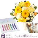 生花 お供えセット ペットのお供えガーベラアレンジとペット線香「レインボー線香」 あす楽 お供え お悔み お盆 お彼岸 喪中見舞い 法事 命日 一周忌 法要 F...