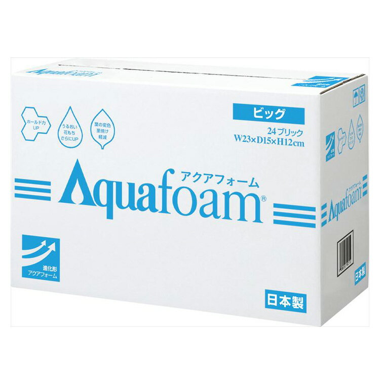 【10-41-0】 アクアフォーム　ビッグ　24個入り送料無料　花資材 松村工芸 FKTS