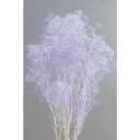 【76-10-441】 プリザーブドフラワー ソフトミニカスミ草 22g エンジェルパープル 1束送料無料 花資材 松村工芸 FKTS