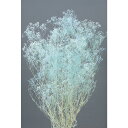 【76-10-600】 プリザーブドフラワー ソフトミニカスミ草 22g ブルー 1束送料無料 花資材 松村工芸 FKTS