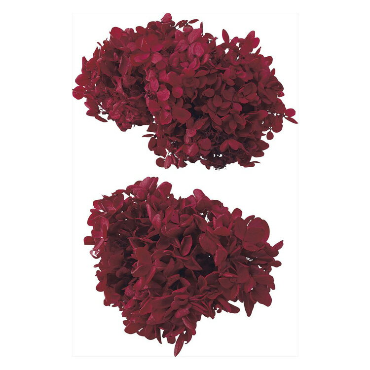 【76-1510-340】 プリザーブドフラワー ソフトピラミッドアジサイ・ヘッド ワインレッド 1箱送料無料　..