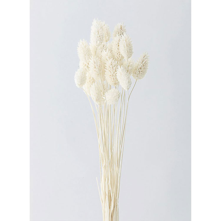 【76-42020-11】 アートフラワー ポアプランツ　15g シロ 1束送料無料　花資材 松村工芸 FKTS