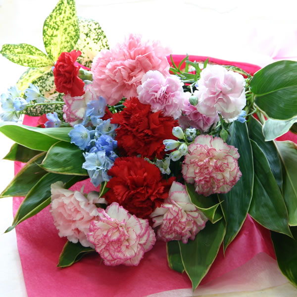 【送料無料】【母の日 花 プレゼント】2色のカーネーションの花束(ブーケ)日頃の感謝を伝える母の日ギフト！赤(レッド)とピンク、定番のカーネーションを主役に、添え花とグリーンを無料サービス