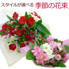 https://thumbnail.image.rakuten.co.jp/@0_mall/hanakikyo/cabinet/00348570/imgrc0072318174.jpg