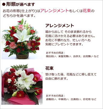 【敬老の日 花】誕生日のお祝いに 大輪の白ユリ(カサブランカなどユリ/ゆり/百合)のお祝い花(フラワーアレンジメント/花束)【誕生日 発表会 記念日 結婚祝い 出産祝い 新築祝い 送別会 楽屋花 開店祝い 花】開店祝い 花【送料無料 あす楽対応】