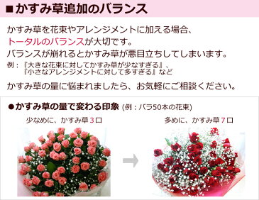 【生花ギフト用オプション】かすみ草(霞草/かすみそう/カスミソウ)花束やアレンジメントの添え花に白いカスミ草をプラスして、豪華にボリュームアップ！【誕生日|発表会|記念日|お祝い|出産祝い|新築祝い|送別会|お悔やみ|お供え|お見舞い】