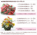 【生花ギフト用オプション】かすみ草(霞草/かすみそう/カスミソウ)花束やアレンジメントの添え花に白いカスミ草をプラスして、豪華にボリュームアップ！【誕生日|発表会|記念日|お祝い|出産祝い|新築祝い|送別会|お悔やみ|お供え|お見舞い】