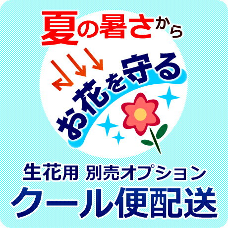 キャップ付 ハーバリウム ボトル 瓶「6角　40本セット　シルバー」ガラス瓶 透明瓶 花材 ウエディング プリザーブドフラワー インスタ SNS ボトルフラワー オイル ハーバリウム用 透明ボトル ハーバリウムボトル おしゃれ かわいい インテリア クリア