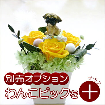【ギフト用オプション】犬の人形をお花にプラス♪わんこのピック2(チワワ/ダックスフント/シュナウザー/パグ/ブルドッグ/シェパード/ロットワイラー/セントバーナード/ラブラドール・レトリバー/ゴールデン・レトリバー)|誕生日|記念日|お祝い|お見舞い|お供え|