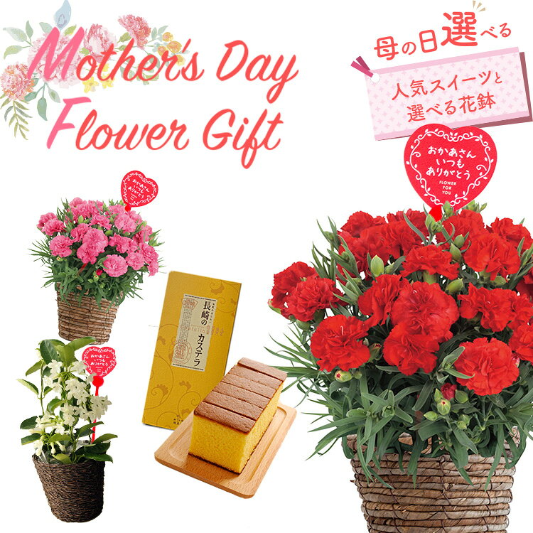 早割【クーポン配布中】 母の日 花 プレゼント 鉢植えギフト カーネーション 赤 ピンク マダガスカルジャスミン すぐに飾れる鉢カバー(かご)を無料サービス！ 母の日ギフトメッセージ入りのピック付き 根付きで長く楽しめる花鉢 送料無料 FKHH 2026 母の日ギフト