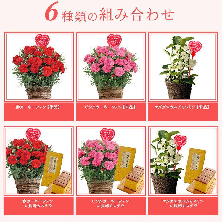 �����»��桿 ����� �� �ץ쥼��� ȭ�������ե�(5��ȭ) �����͡������ �� �ԥ� �ޥ��������른�㥹�ߥ� �����˾����ȭ���С�(����)��̵�������ӥ��� ��������եȥ�å���������Υԥå��դ� ���դ�������Ĺ���ڤ�����ȭ�Ǥ� ����̵�� FKHH 2026 ��������ե�