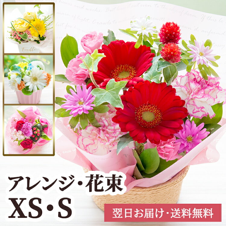 花 誕生日 お祝い 店長のおまかせフラワーギフト 花束 アレンジメント ブーケ 赤 ピンク 黄色 青紫 白 お花 ギフト 退職祝い 結婚祝い 結婚記念日 女性 春 送別 卒業祝...