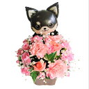 【バルーン黒犬のお花畑】☆フラワーアレンジメント お誕生日・ 母の日・記念日・敬老の日・御祝い 奥行:約21cm×幅:約21cm×高さ:約30cm