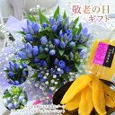 遅れてごめんね 敬老の日 花 ギフト そのまま飾れる不思議なブーケ リンドウのブーケと干し芋スイーツセット【敬老の日 プレゼント 孫 花 ギフト 食べ物 花束 ...