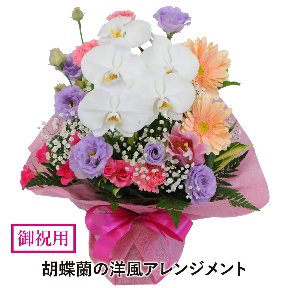 花 プレゼント 誕生日 花 転勤花 退職花 昇進花 昇格花 栄転花 就任祝い花 お祝い フラワー ギフト 花宅配 プレゼント 開店祝い 開業祝い 移転祝い 送別会 退職祝い 明日 急ぎ 明日着 配送 配…