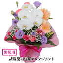 胡蝶蘭（全般） 花 プレゼント 誕生日 花 転勤花 退職花 昇進花 昇格花 栄転花 就任祝い花 お祝い フラワー ギフト 花宅配 プレゼント 開店祝い 開業祝い 移転祝い 送別会 退職祝い 明日 急ぎ 明日着 配送 配達 届け 宅配 送料無料 エーデルワイス 胡蝶蘭の洋風アレンジメント