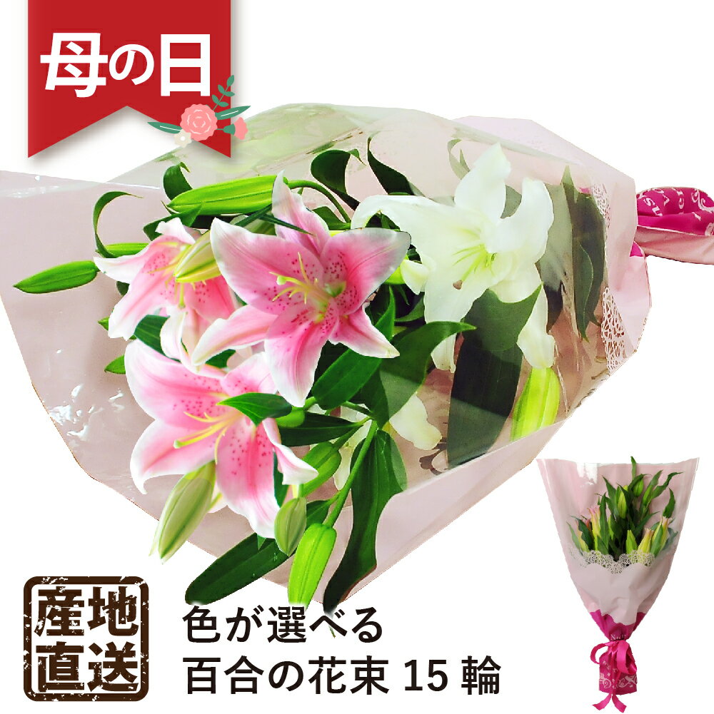 母の日 ゆり 百合 花束 産地直送 新鮮 プレゼント 生花 フラワーギフト 2024 エーデルワイス 豪華大輪 母の日 ユリ15輪の花束 白 ピンク ミックス