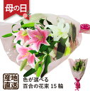 母の日 ゆり 百合 花束 産地直送 新鮮 プレゼント 生花 フラワーギフト 2024 エーデルワイス 豪華大輪 母の日 ユリ15輪の花束 白 ピンク ミックス