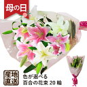 ユリ 母の日 花束 ゆり 百合 産地直送 新鮮 プレゼント 生花 フラワーギフト 2024 エーデルワイス 豪華大輪 母の日 ユリ20輪の花束 白 ピンク ミックス