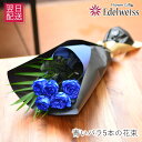 花束 ブルーローズ 青い薔薇 誕生日 結婚記念日 プロポーズ 合格祝い 卒業祝い 入学祝 送料無料 お祝い プレゼント 青いバラ5本 エーデルワイス 翌日 明日...