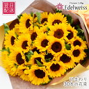 ひまわり 花束 生花 おしゃれ 30本 誕生日 プレゼント 父の日 プロポーズ 向日葵 お祝い 御祝 お見舞い 退院祝い 結婚記念日 発表会 誕生会 長寿祝 米...
