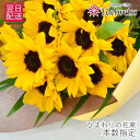 ひまわりの花束 ブーケ 送料無料 女友達におしゃれなヒマワリ生花 花 プレゼント 祖母 妻 女性 母の日や父の日のフラワーギフト 誕生日 結婚記念日 結婚祝い ...