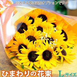 ひまわりの花束 花 誕生日 プレゼント 切花 15本 お見舞い 退院祝い 御中元 お中元 宅配 送料無料 ヒマワリ プレゼント 妻 女性 結婚記念日 向日葵 エーデルワイス ひまわりの花束 Lサイズ