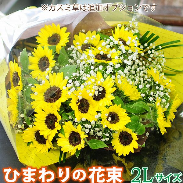 ひまわり 花束 誕生日プレゼント ひまわり 切花 20本 お見舞い 花 退院祝い 花 御中元花 お中元 花 宅配 花 ギフト 送料無料 フラワーギフト 誕生日 お祝 宅配 プレゼント お見舞い エーデルワイス ひまわりの花束 2Lサイズ