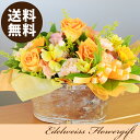 誕生日 花 送料無料 オレンジブロッサム フラワーアレンジメント お祝い お祝いアレンジ お見舞アレンジ 記念日アレンジ 誕生日ギフト 誕生日贈り物