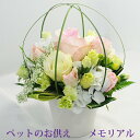 ペット お供え 花 贈る お悔やみ花 お供え花 お盆 お供え 花 供花 ペット お悔やみ 花 ペット 犬 お悔やみ 贈り物 ペット お供え 花 即日 ペット 仏花 ペットお供えアレンジメント メモリアル ペットのお供えアレンジメント お供え花犬 お供え花猫 エーデルワイス