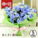 紫陽花 銀河 母の日ギフト プレゼント 花 鉢植え エーデルワイス 紫陽花 アジサイ 銀河 5号鉢