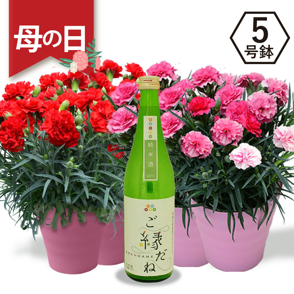 楽天エーデルワイス／花宅配花屋ギフトお買い物マラソン 遅れてごめんね 母の日 鉢植え 花 プレゼント カーネーション フラワーギフト 2024 日本酒セット 純米酒 清酒 エーデルワイス カーネーション 5号鉢 純米酒「ご縁だね」セット