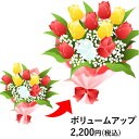 ボリュームたっぷり花束 お花のボリュームアップ 2,200円(税込)分 ボリュームアップ 花束・アレンジメント等への追加用 これ単体での発送はできません 誕生日プレゼント お祝 花ギフト 花宅配 プレゼント