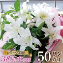 誕生日 プレゼント 花束 ユリ 白いユリ 花束 ギフト ユリ 花束 50輪 プレゼント 花束 送料無料 花束 ユリ 百合 花束 プレゼント ゆり 花束 百合 花束 生花 お供え 白ユリ50輪以上 誕生日 プレゼント ゆり花束 百合花束