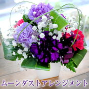楽天市場 誕生日 記念日 花 ギフト アレンジメント ムーンダスト フラワーギフト 女性 カーネーション 送料無料 プレゼント 紫 青 宅配 贈り物 古希 エーデルワイス 花宅配花屋ギフト みんなのレビュー 口コミ 楽天市場 誕生日 記念日 花 ギフト アレンジメント ムーンダスト フラワーギフト 女性 カーネーション 送料無料 プレゼント 紫 青 宅配 贈り物 古希 エーデルワイス 花宅配花屋ギフト みんなのレビュー 口コミ